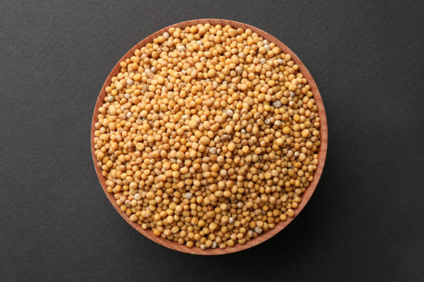 Natural Yellow Mustard Seed